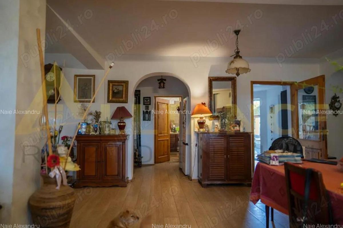 VILA TA LA LAC! Proprietate exclusivista Snagov cu ponton 1.800 mp teren - 13