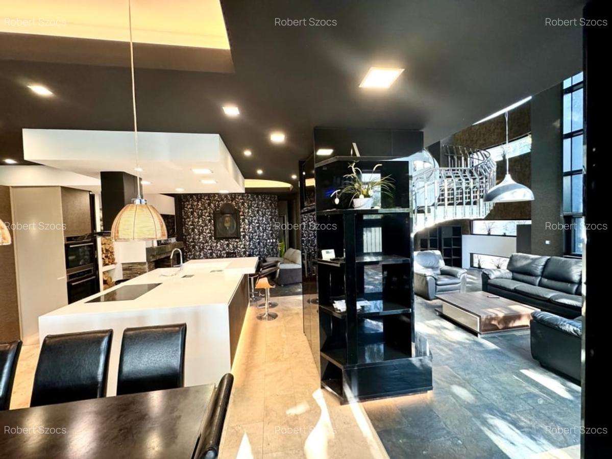 Vila premium 455 mp, destinatie rezidentiala/comerciala-Carrefour Colentina! - 4