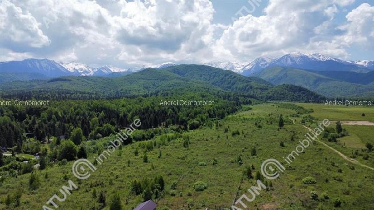 Teren intravilan de vanzare 3000 mp pe Valea Avrigului - 2