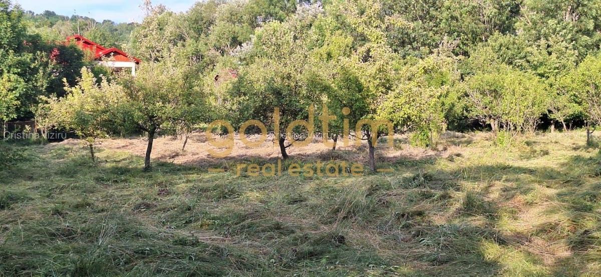 CASA IN ZONA LINISTITA/MOBILATA/UTILATA/TEREN IMPRESIONANT 5000MP/CORNU/PRAHOVA - 53