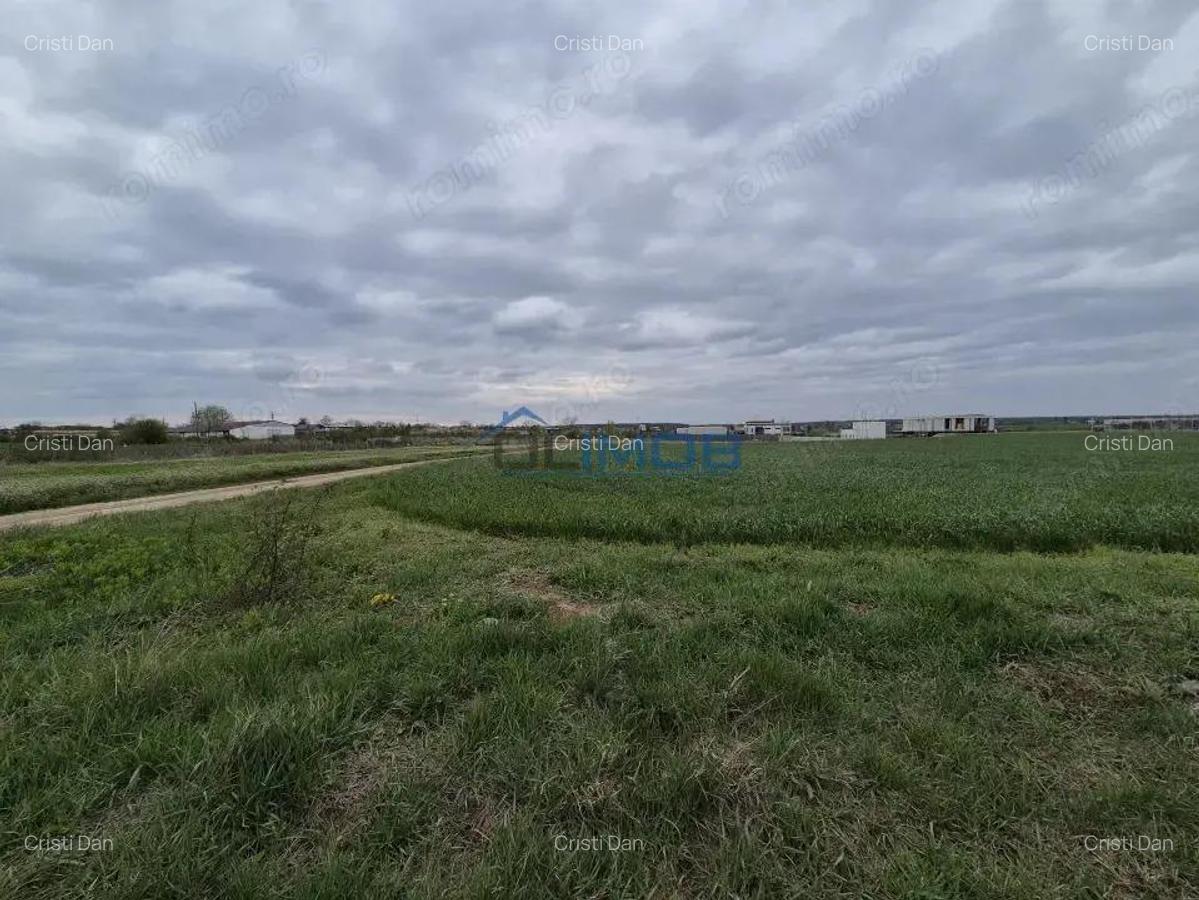 Teren intravilan Izvorani - Delta Snagov - 1