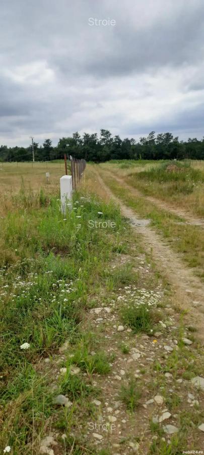 Vand Teren intravilan, Valea Avrigului - 3