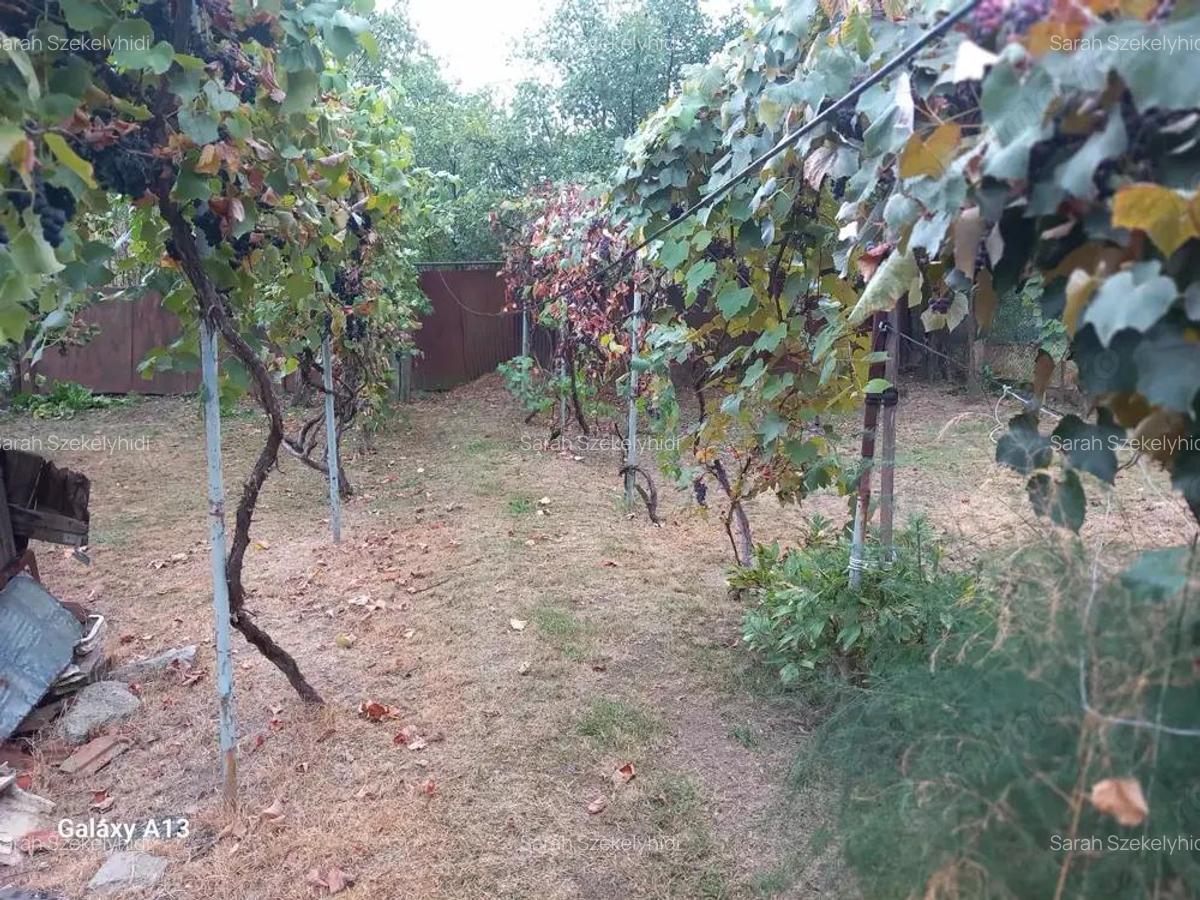 BRASADAS vinde casa 3 cam. zona Unirii teren 550mp. - 6