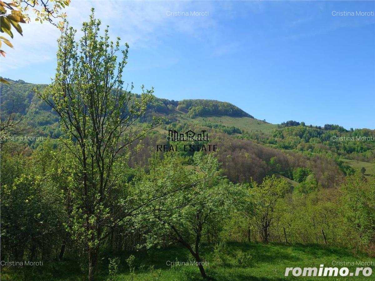 Teren intravilan si cladire in Apuseni, Blajeni, Hd - 1