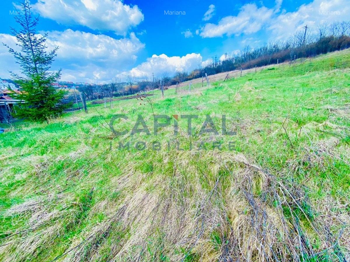 Teren intravilan 1700 mp, toate utilitatile, asfalt, central Dezmir - 3