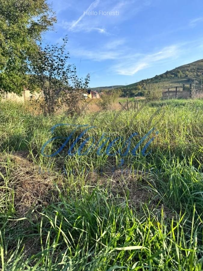 Oportunitate investitie, teren intravilan Luna de Sus 2900mp - 1 Oportunitate investitie, teren intravilan Luna de Sus 2900mp - 1