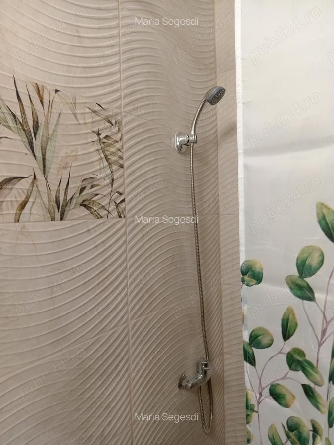 Garzoniera Chirie - 5