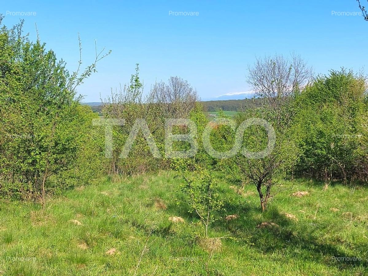 Teren intravilan 4280 mp acces la drum si utilitati zona deosebita - 3