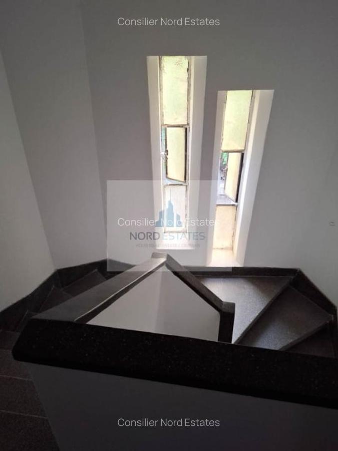 Piata 1 Mai, parcul Kiseleff, ambasade, vila interbelica - 9