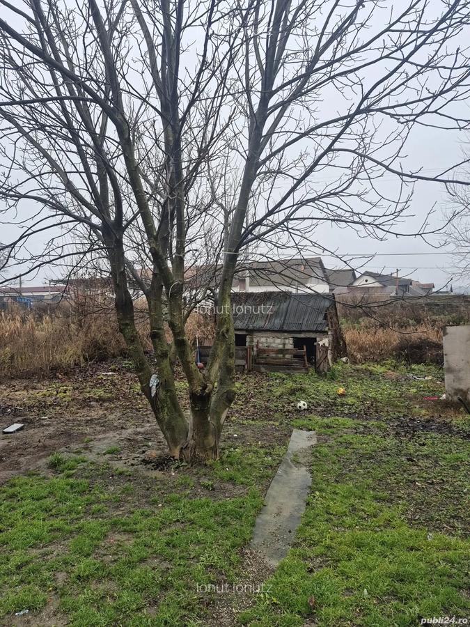 Casa de vinzare linga rupea jud bv - 6