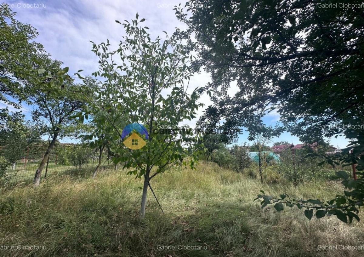 Teren + Casa de Vanzare 1170 mp Dumbrava Ro?ie, N - 14