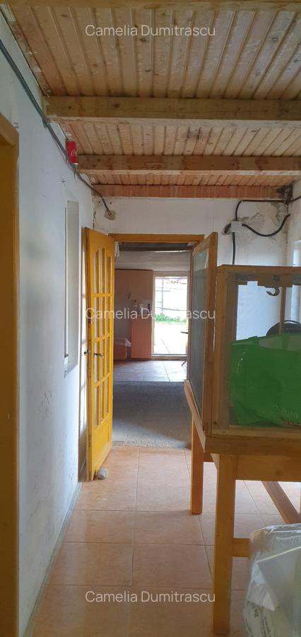 Ronat – Casa  3  Camere – Teren generos - 2