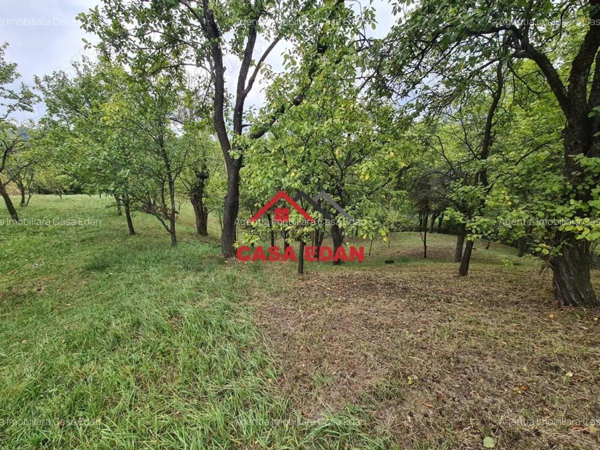 Teren intravilan in Sotrile--1671m--13e - 9