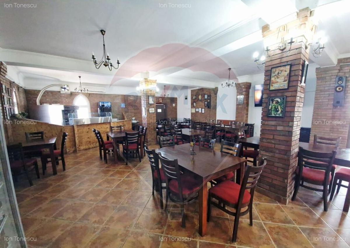 AFACERE DE VANZARE - RESTAURANTUL DON CHIRIAC - 27
