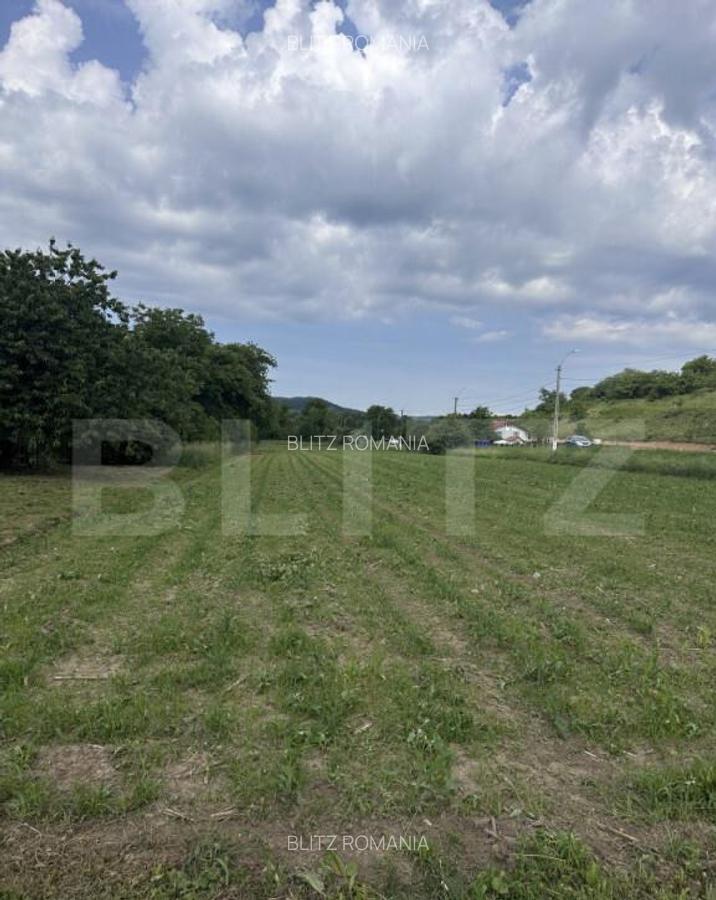 Teren intravilan, 5.800 mp, zona Ca?cau - 5