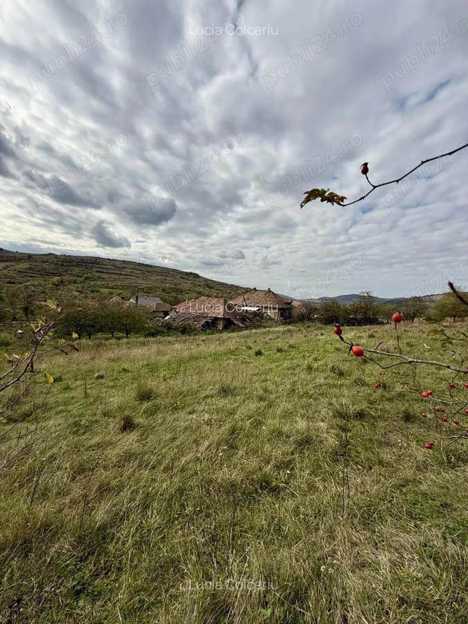 Casa de vanzare in Sanpetru Alma?ului, Hida, jud. Salaj-teren 7500 mp - 6