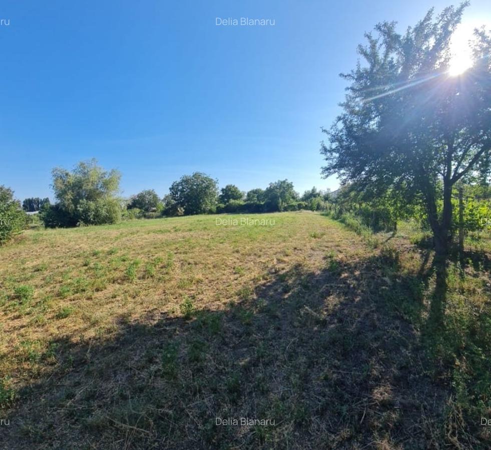 Teren 2236mp intravilan Jaristea - 7