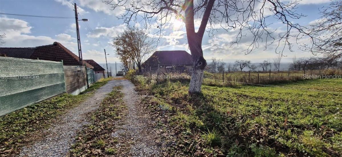 RECO Teren intravilan in Borod, Bihor 1750mp - 13