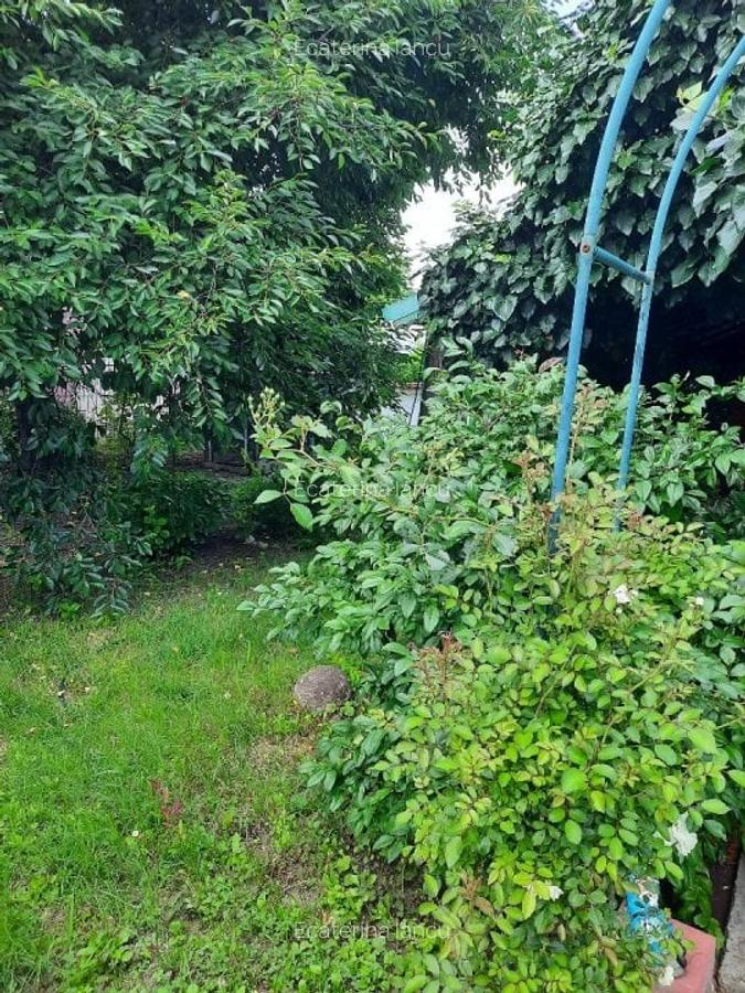 Casă cu 4 camere în Cocorăștii Colț - 5
