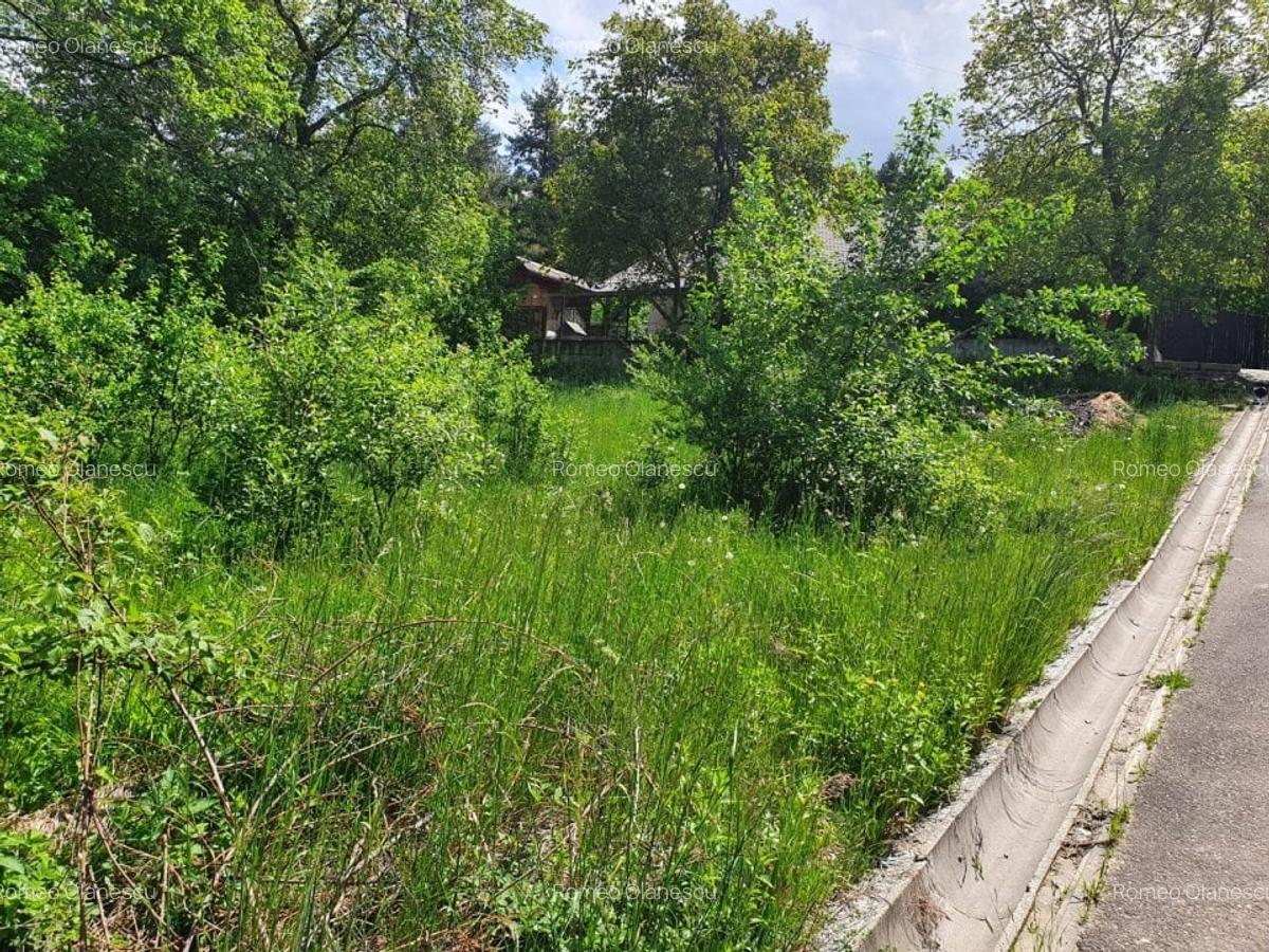 Teren Construcții intravilan de 834 mp, în Săcele - 1