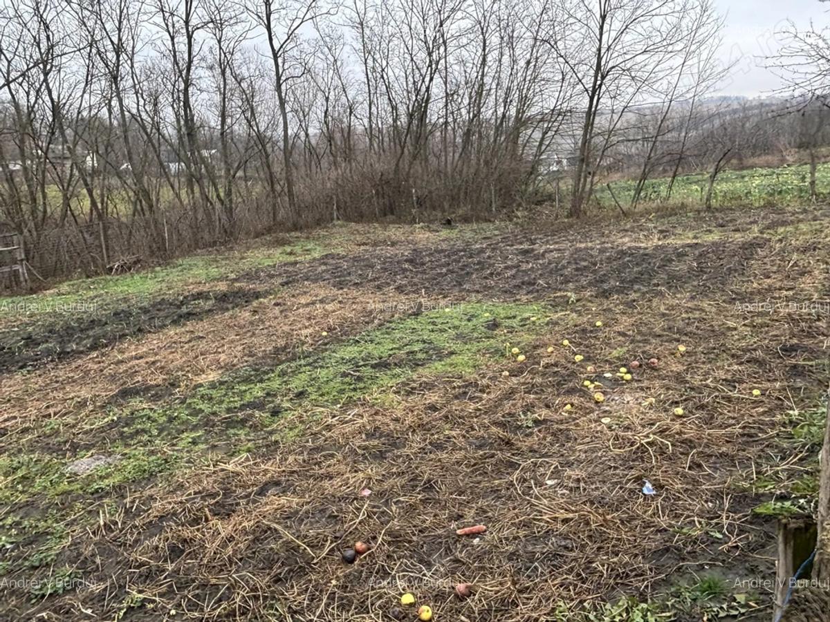 Vand casa cu gradina - 4