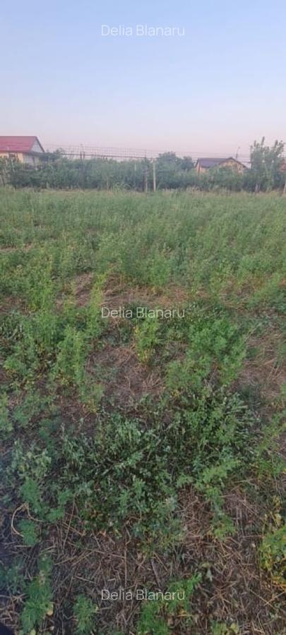 Teren extravilan 6883mp Odobesti - 3