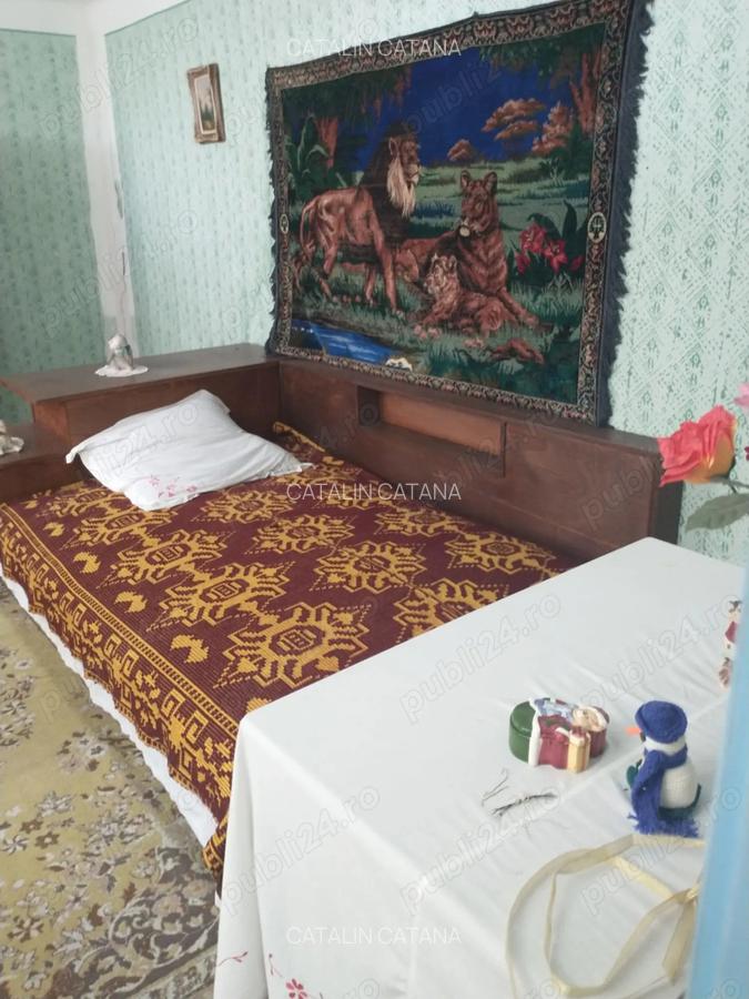 Casa de vanzare 120mp - 3