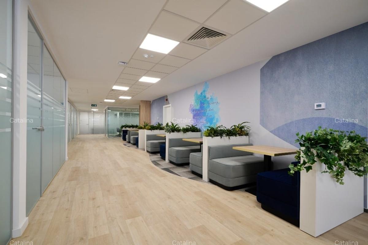 Birouri de Închiriat, Spațiu Coworking, zona Universitate - 11