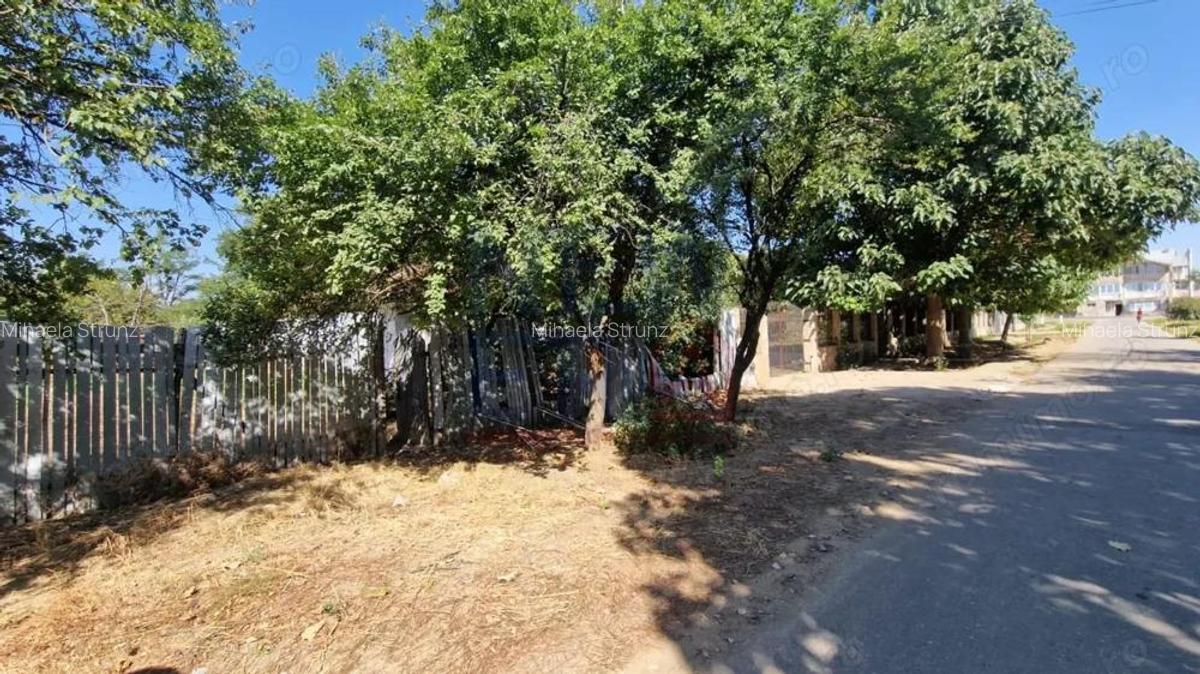 Teren de vanzare Fundulea, loca?ie excelenta pentru viitoarea ta casa - 3 Teren de vanzare Fundulea, loca?ie excelenta pentru viitoarea ta casa - 3