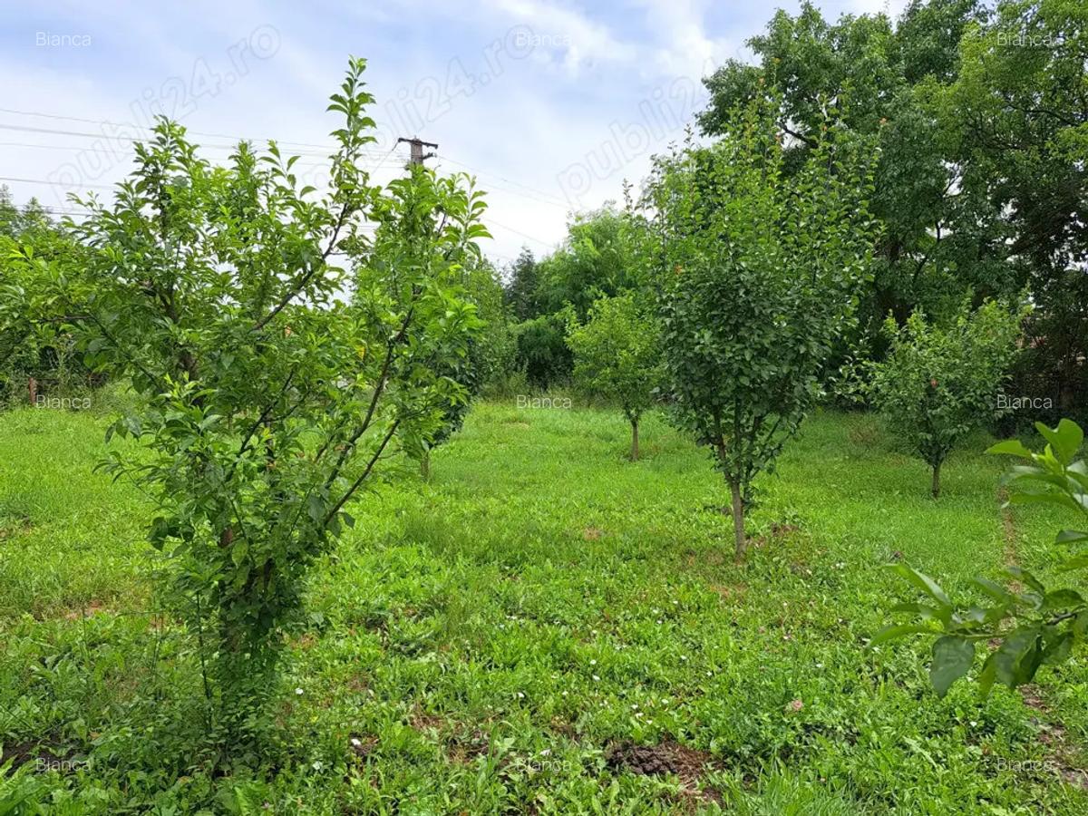 Casa de vanzare in Bala, Mure? - 10