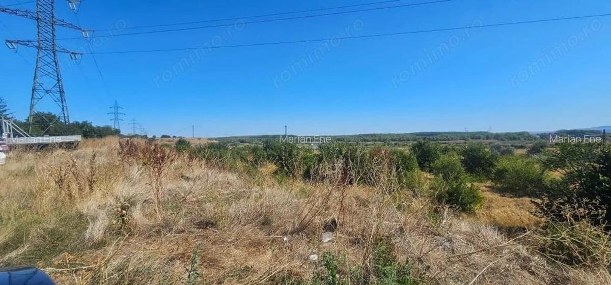 Teren intravilan 14.168 mp pozitie excelenta la intrarea in Braila - 3