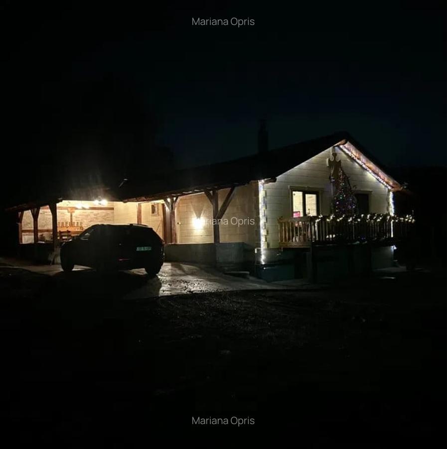 Casa individuala | 100 mp casa + 1500 mp teren | Tocile, judetul Sibiu - 13