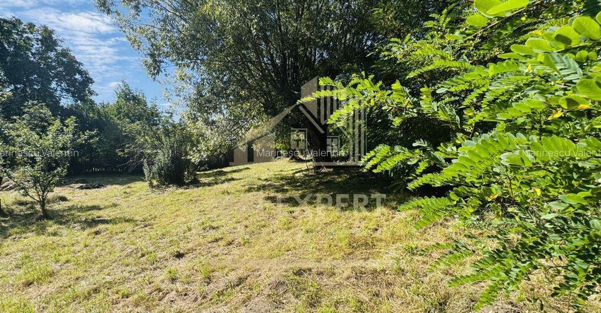 TEREN INTRAVILAN 3234 MP LERE?TI VOINE?TI ARGE? - 11