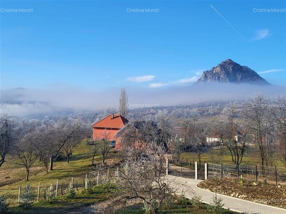 Acasa in Apuseni - 19