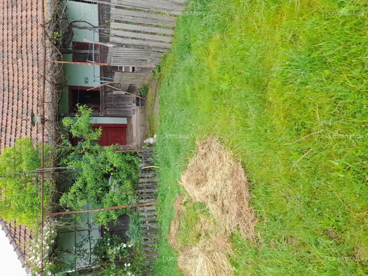 Vand casa batraneasca - 4