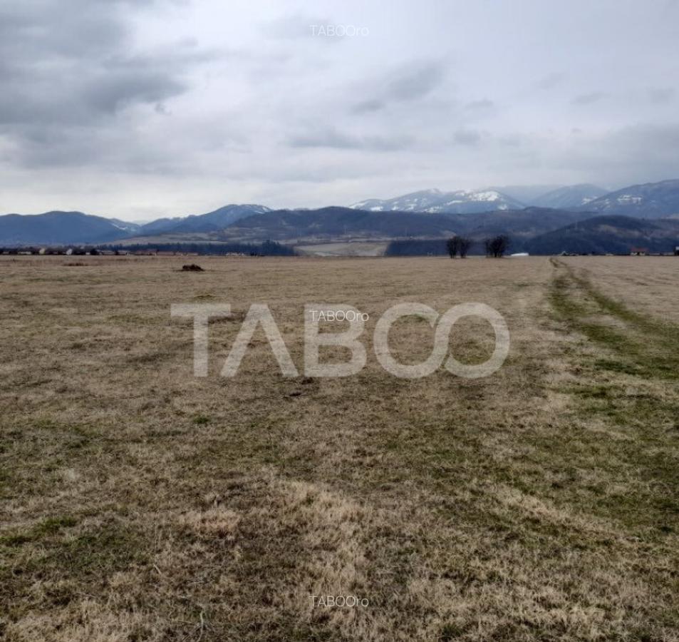 Teren intravilan 15.000 mp Front 47 m DN7 in Talmaciu zona i - 6