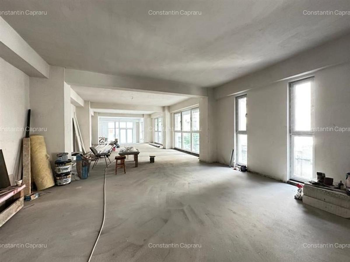 Inchiriere integrala cladire de birouri zona Pache Protopescu - 3