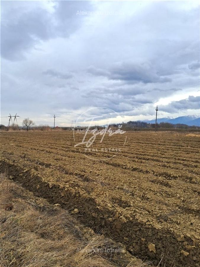 Teren extravilan Avrig - 8