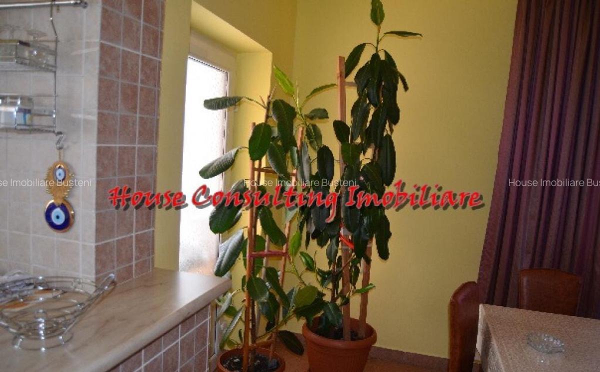 Vila de vacanta in Predeal - 1 Vila de vacanta in Predeal - 1