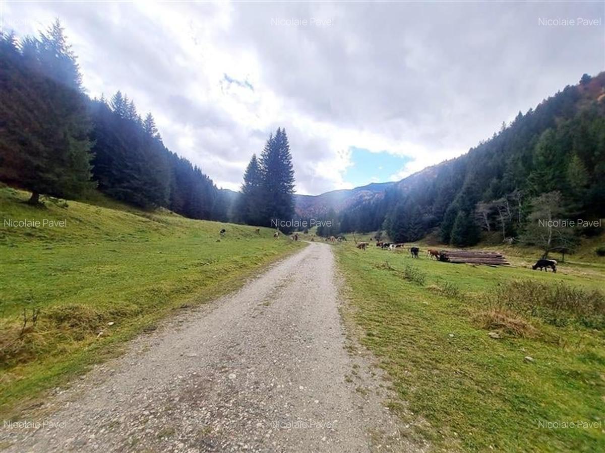 Teren intravilan panoramic 4.600mp,view iconic Piatra Craiului,oportunitate prem - 22