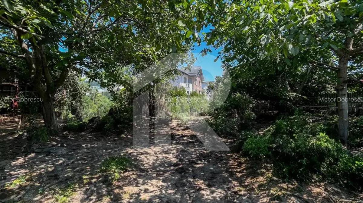 DE VANZARE TEREN + CASA in Dobroestiul (Vechi) - 3