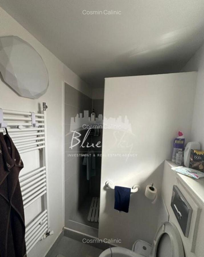 Casa + hala, oportunitate de afacere in zona industriala - 16