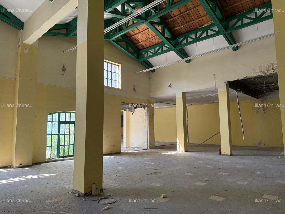 PROPRIETATE UNICA IN BUCURESTI - 5660 MP, TEREN 4736 MP - "VIILOR" - 12