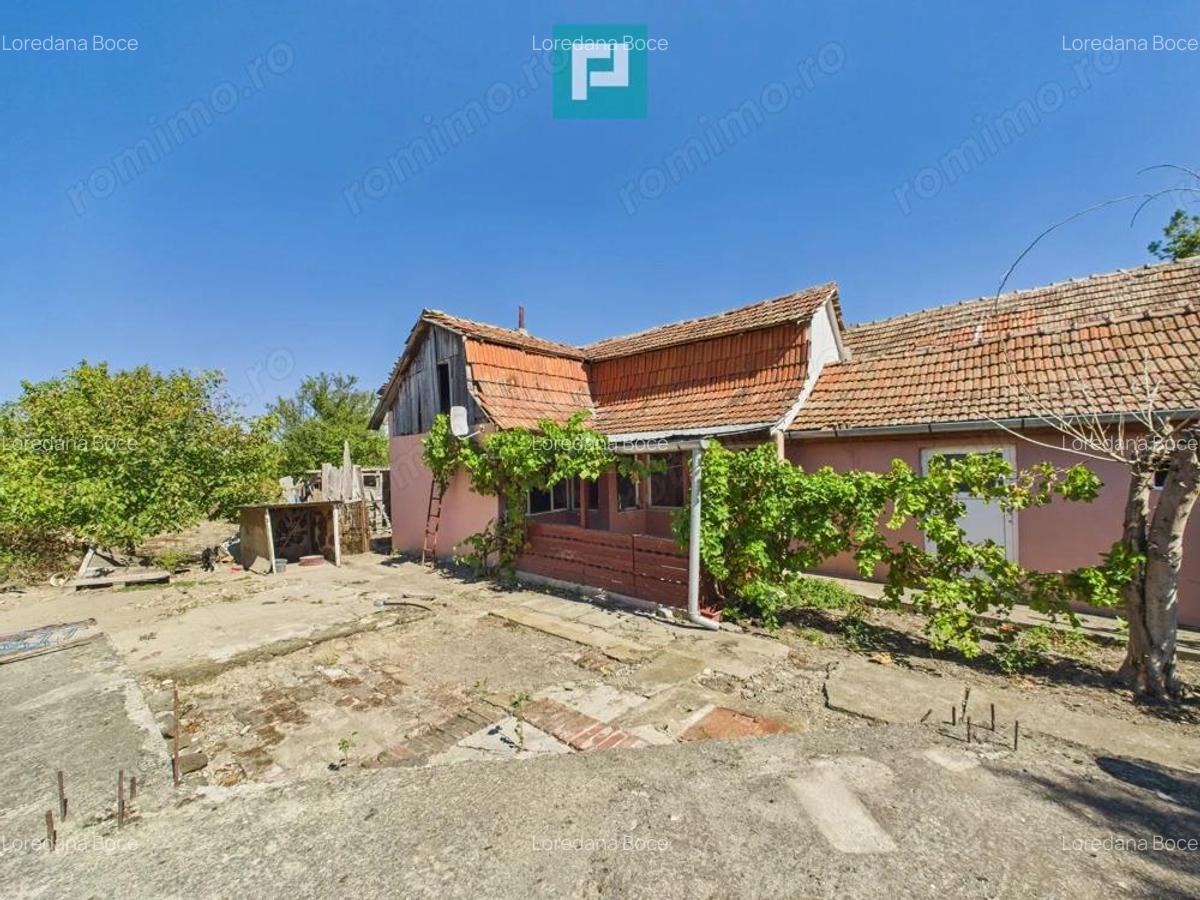 Casa ?i teren in Moravi?a, Timi?-pozi?ie excelenta - 17