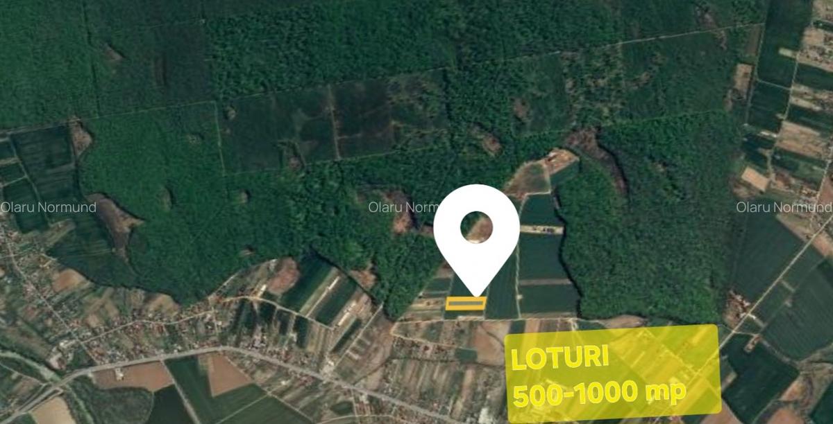Loturi de teren la padure | 500-1000mp | Izvorani- Snagov - 1