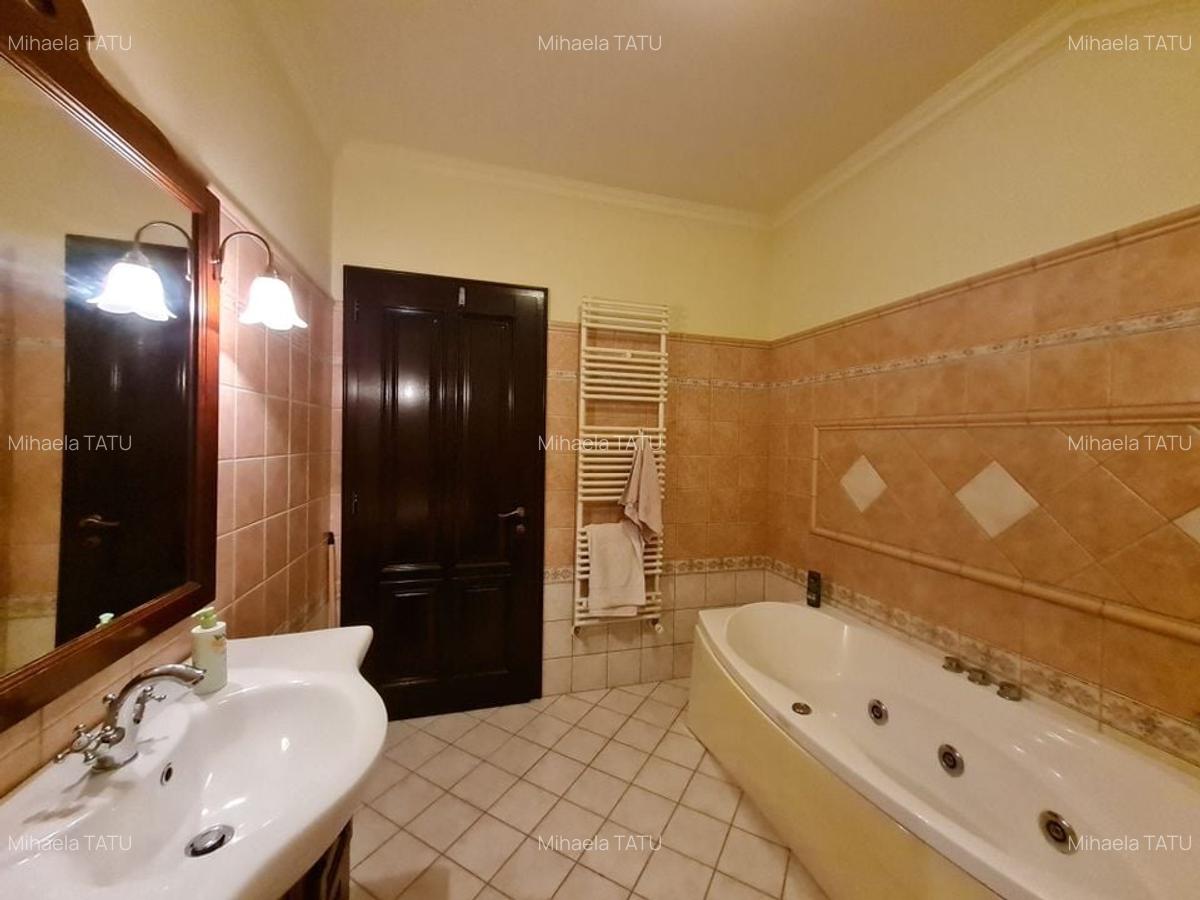 Poziție de top în Dumbravita - 19