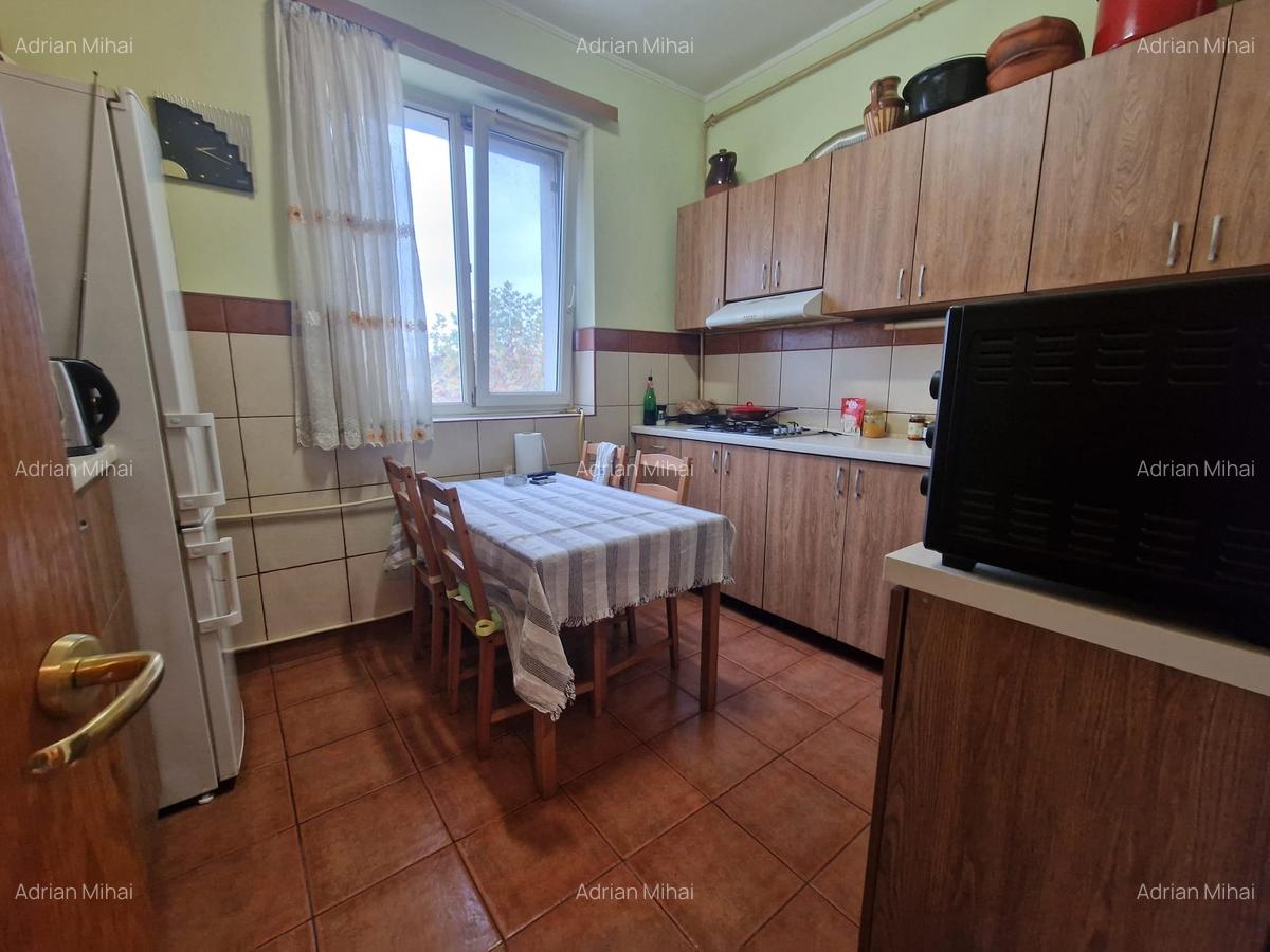 Terasa 60mp Vedere Superba 3 Camere Piata Muncii - 7