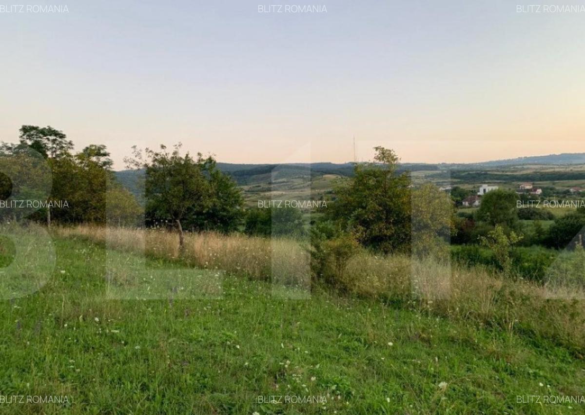 Teren intravilan,18000 mp, situat in Sopor, Exclusivitate! - 4