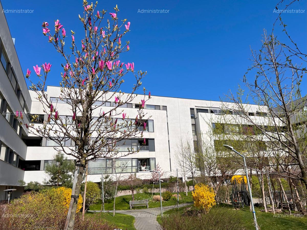 Apartament cu 4 camere decomandat în Chitila - 15