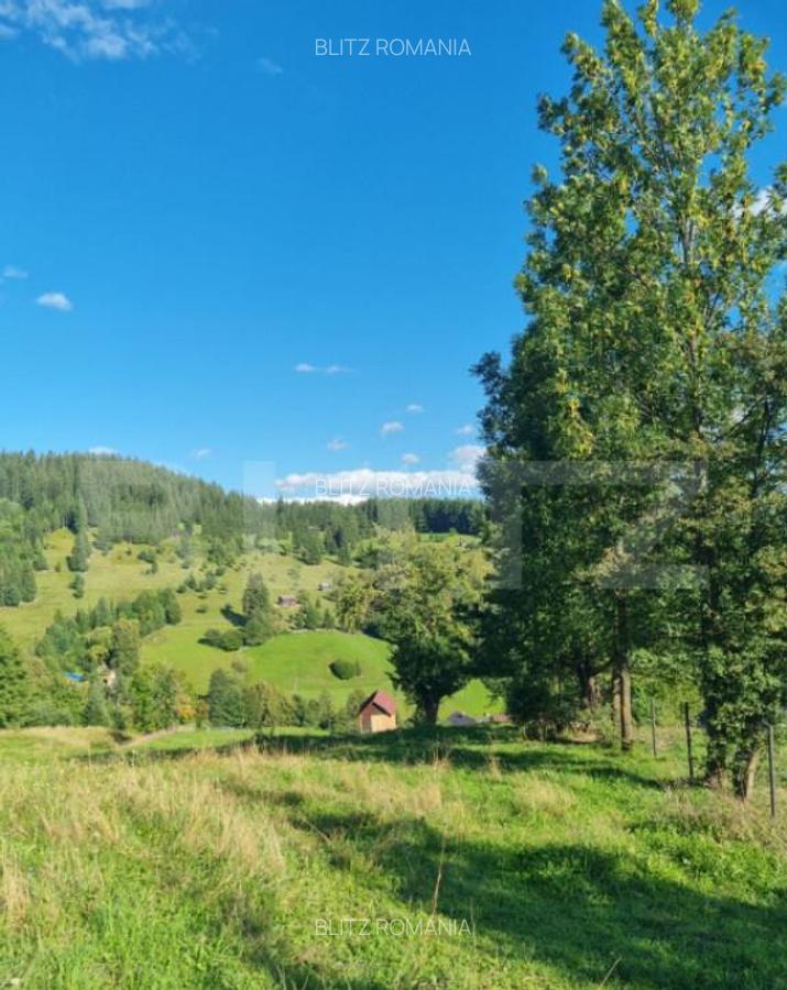 Teren intr-o zona superba din Campulung Moldovenesc - 16